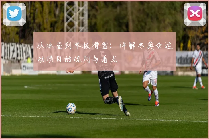从冰壶到单板滑雪：详解冬奥会运动项目的规则与看点